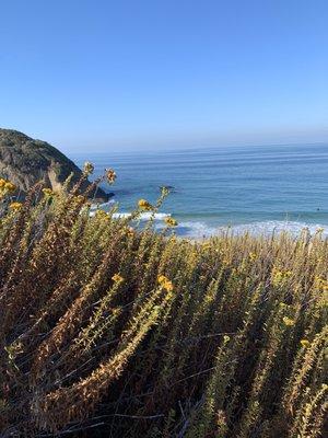 Headlands Dana Point.