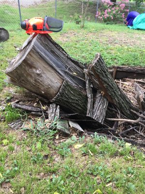 Starting the removal of a Storm Damaged Tree Trunk.