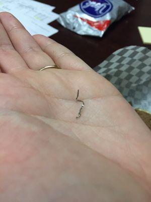 Piece of metal I discovered as I bit into the second half of my sandwich.