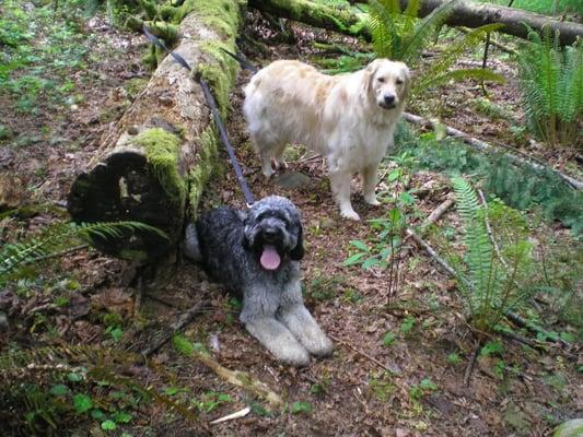 It's Mason's birthday so Lucy joined him for a birthday hike.