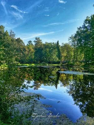 View of the beautiful pond.