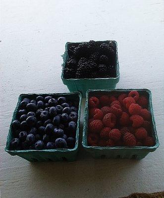 Fresh picked berries