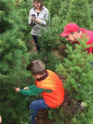 The one in the red jacket and hat is Dylan. He really enjoys teaching the next generation of great tree hunters!!