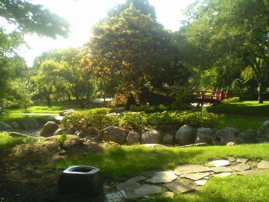 Park in late July, view from the teahouse.  Magnificent!!!