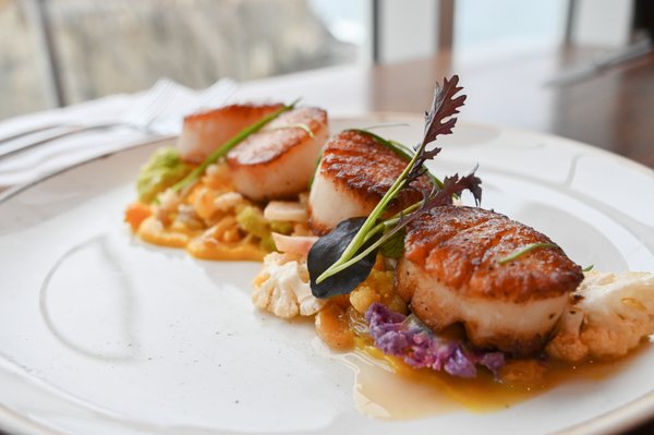 Scallops