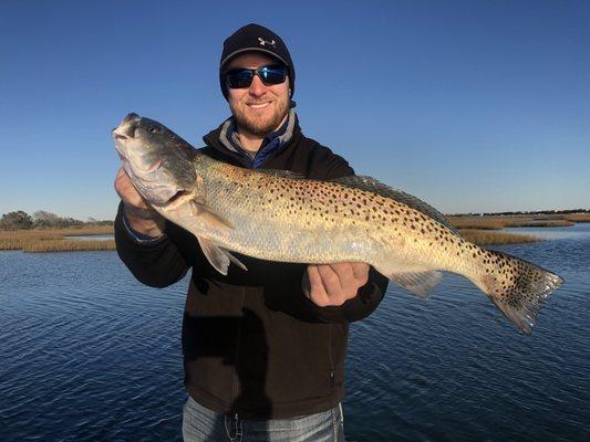 27" Speckled Trout