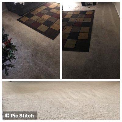 Before & after pictures of carpet steam cleaning