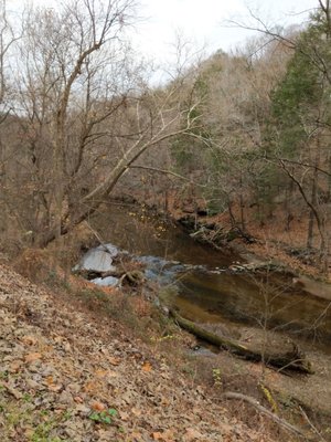 Pennypack Trail