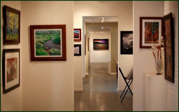 The gallery always displays an inspiring collection of images from a diverse group of photographers.