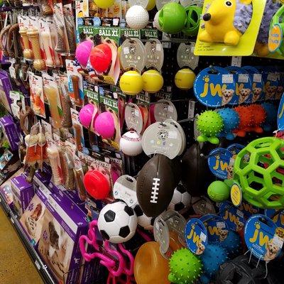 lots of toys for the pooches