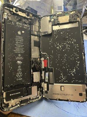 IPhone 11 came in for screen and loud speaker repair.