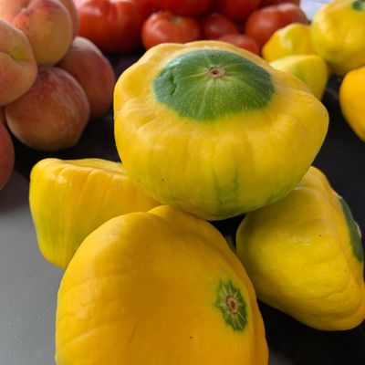 Organic Patty Pan squash or are they UFOs?