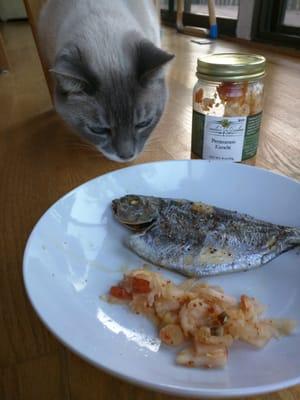 Awesome Persimmon Kimchi & Miss Kitty going for the pomfret