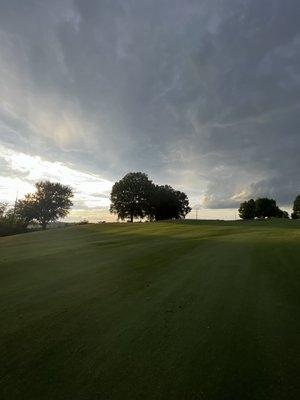 Hole 7 Par 5 14yds out