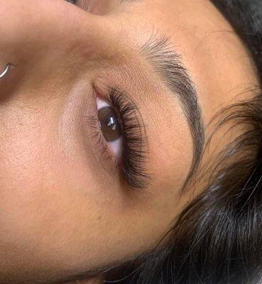 Volume cat eye lash extensions