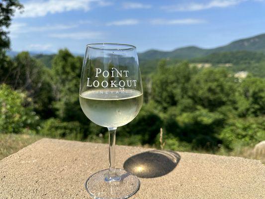 This is the oak barreled Chardonnay and the amazing view from the outside seating area.