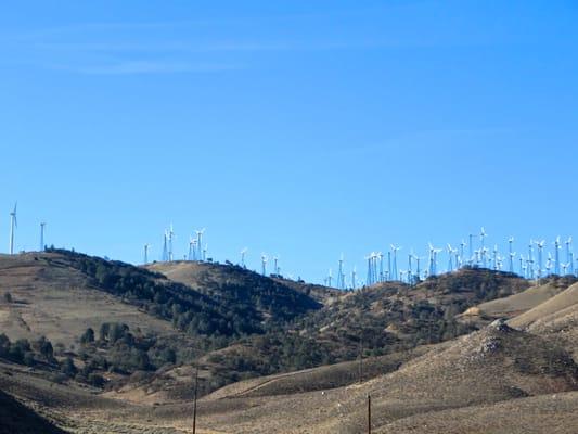 Largest wind farm in the world right in town.