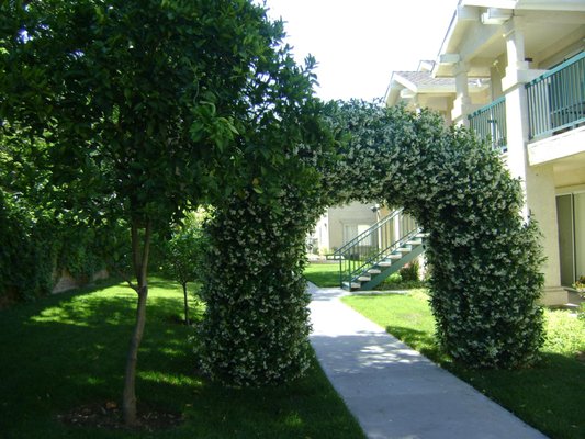 beautiful arches all around the property