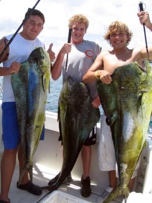 Just three of the Dolphins caught on a great day of offshore fishing.