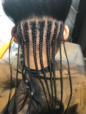 Braids by Opal