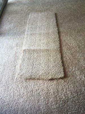 Carpet stain extraction after picture