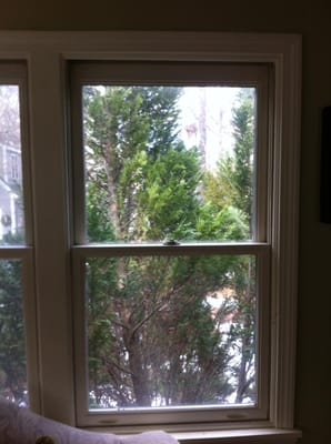 Replacement
 ,double pane, any window fixed or replaced