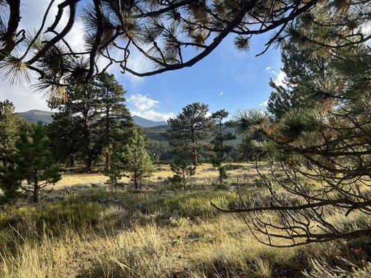 Hollowell Park Trailhead