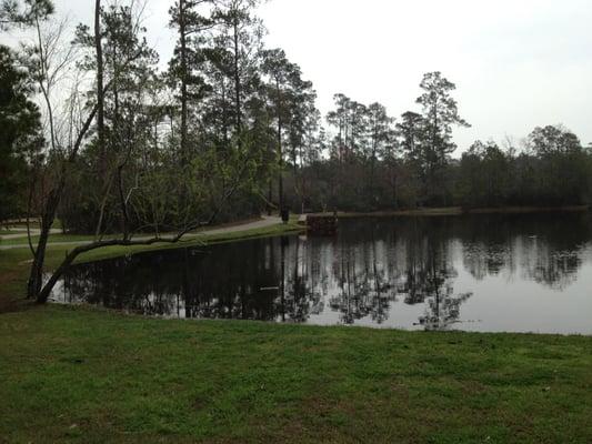 Capstone Park Lake