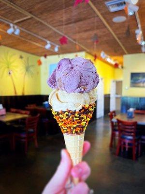 Halloween Sugar Cone with Pumpkin & Blueberry Cobbler!