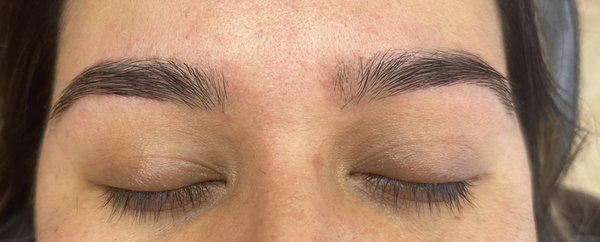 Freshly Threaded and Tinted Eyebrows by our highly trained staff