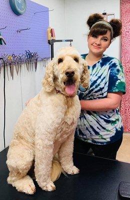 Grooming at AlphaPets