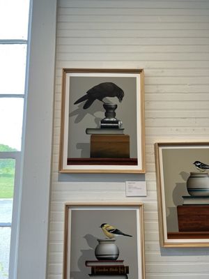 Cool series of photos of birds in still life environments. We bought the crow because it had a ton of personality.