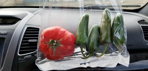 My yummy tomato and jalapenos from MidValley!