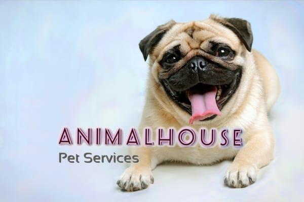 The best choice for dog walking and pet sitting service in Dallas, TX