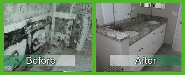 Black Mold Removal, Mold Remediation