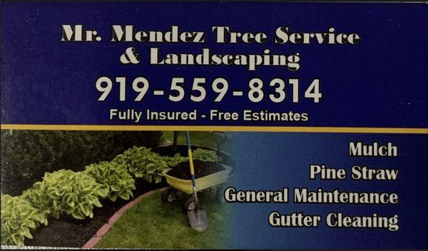 Mr Mendez Tree Service