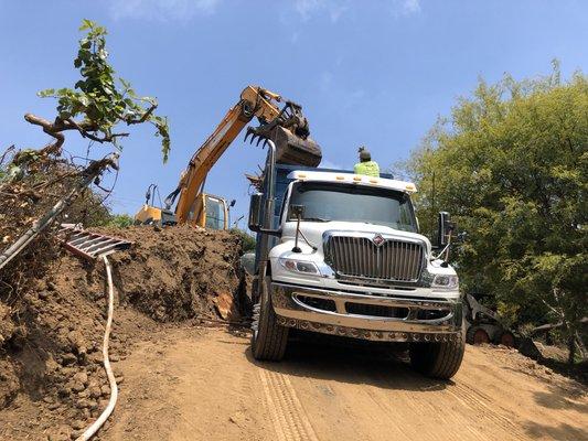 We do same day demolition bin rental, domestic trash, fire debris and all refuse.