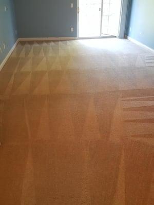 Dining room carpet