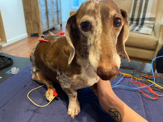 Luke's 1st acupuncture session with Dr. Massicotte!