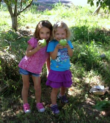 Apple Farm Field Trip