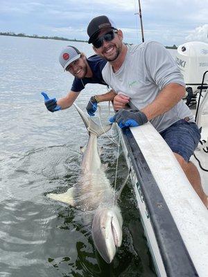 Spinner shark caught near Fort Myers Beach