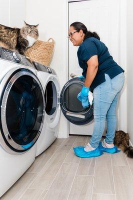 Grissel cleaning dryer with cats watching her every move....