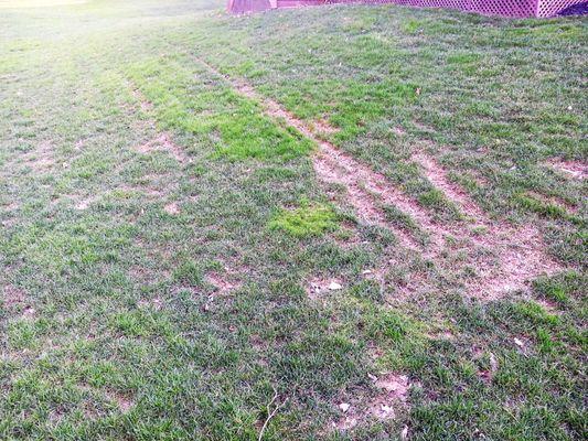 TRACKS TORN INTO WET SOIL