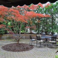 Beautiful gardens and patio's through out the Residence.