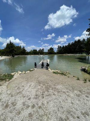 Dog park dock