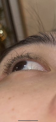 botched lash lift..