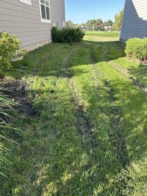 Ruts all over my yard due to standing swampy water. It's never once been dry in 3 years