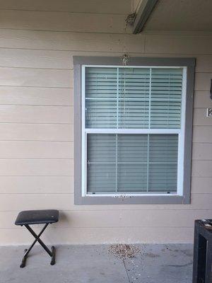 My neighbor's window covered in bird poop for months at The Heritage at Hillcrest, 1201 Broadmoor, B228