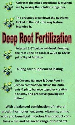 DEEP ROOT INFO