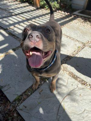 Happy boy after a long walk